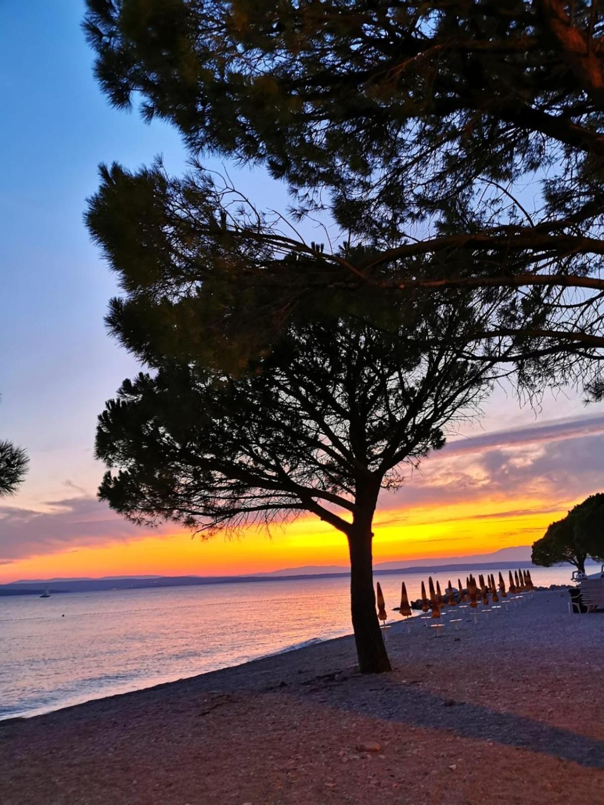 Ivana Apartman 2 Crikvenica Exteriör bild